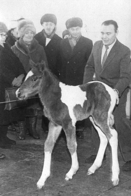 Исторические фотографии